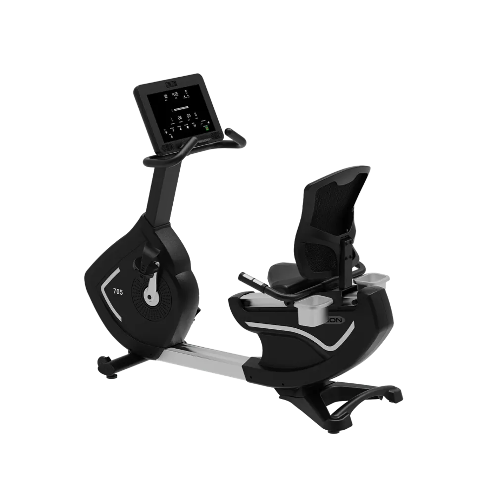 Recumbent Bike
