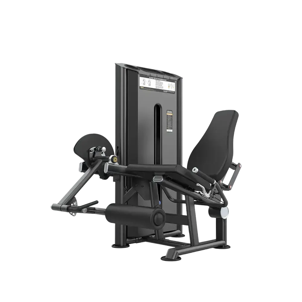 Leg Extension