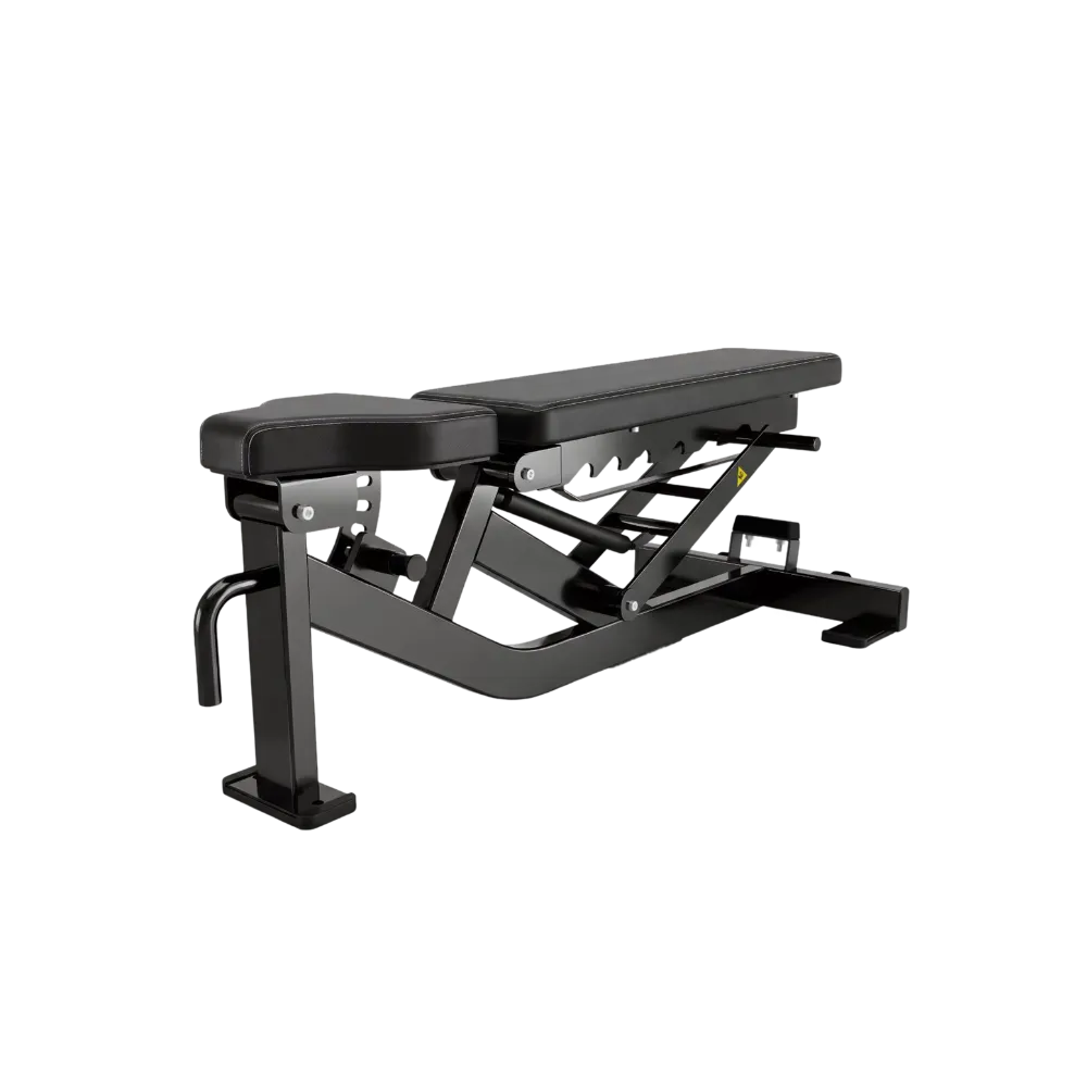 Multi-Adjustable Bench