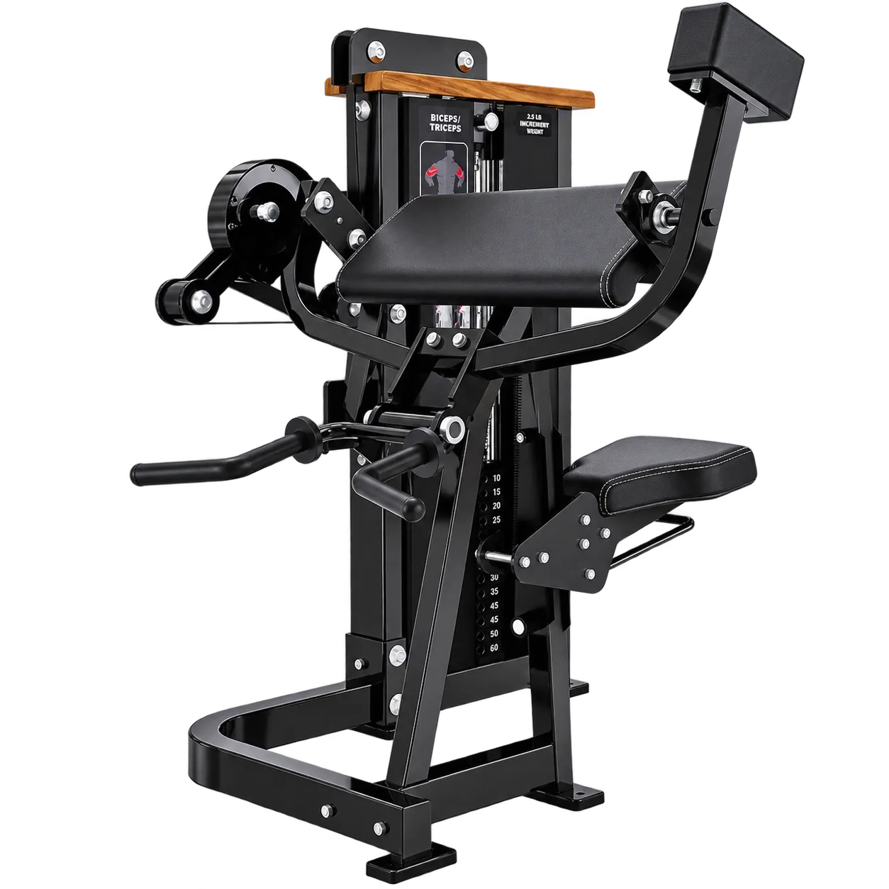 Dual Biceps Curl & Triceps Extension