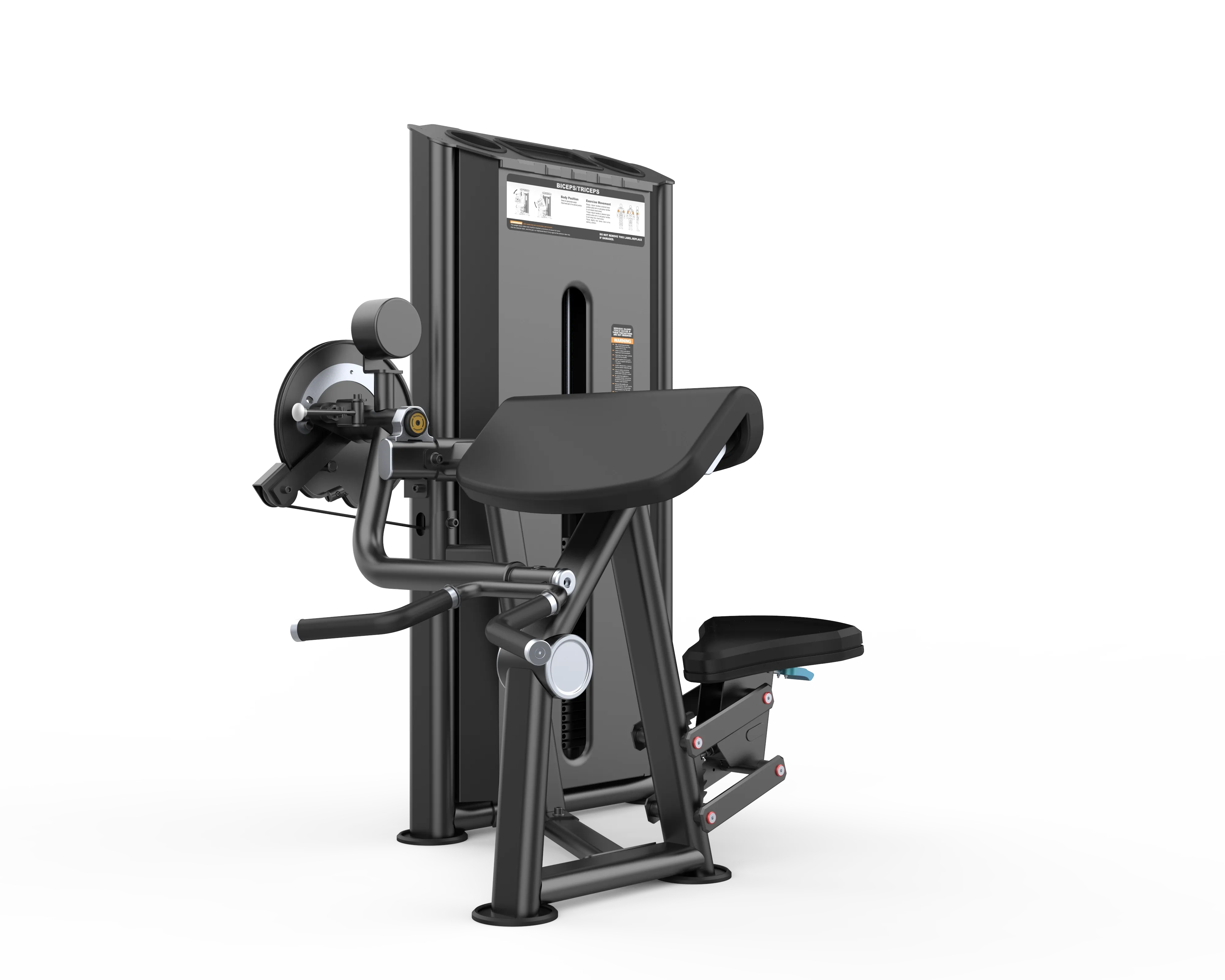 Dual Biceps Curl & Triceps Extension